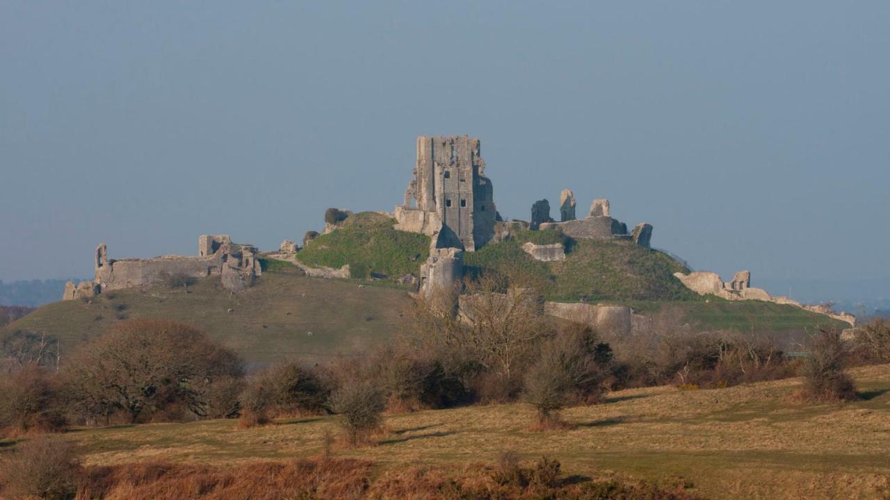 Ammonite Bed & Breakfast Corfe Castle Exterior foto